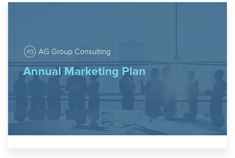 Marketing Plan AG Group Consul example 1