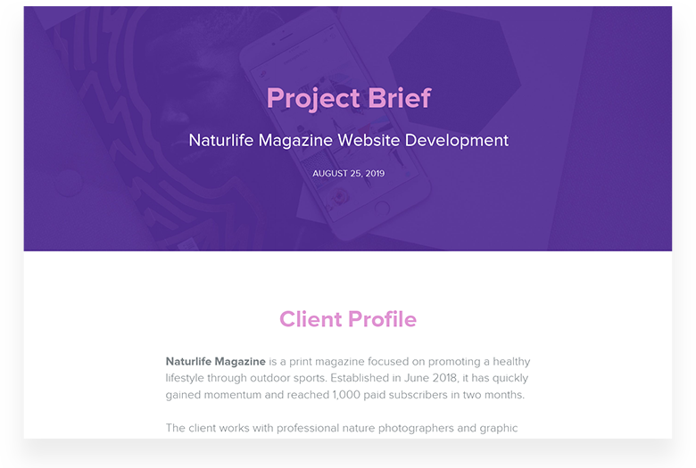 Web Development Project Brief Example Template
