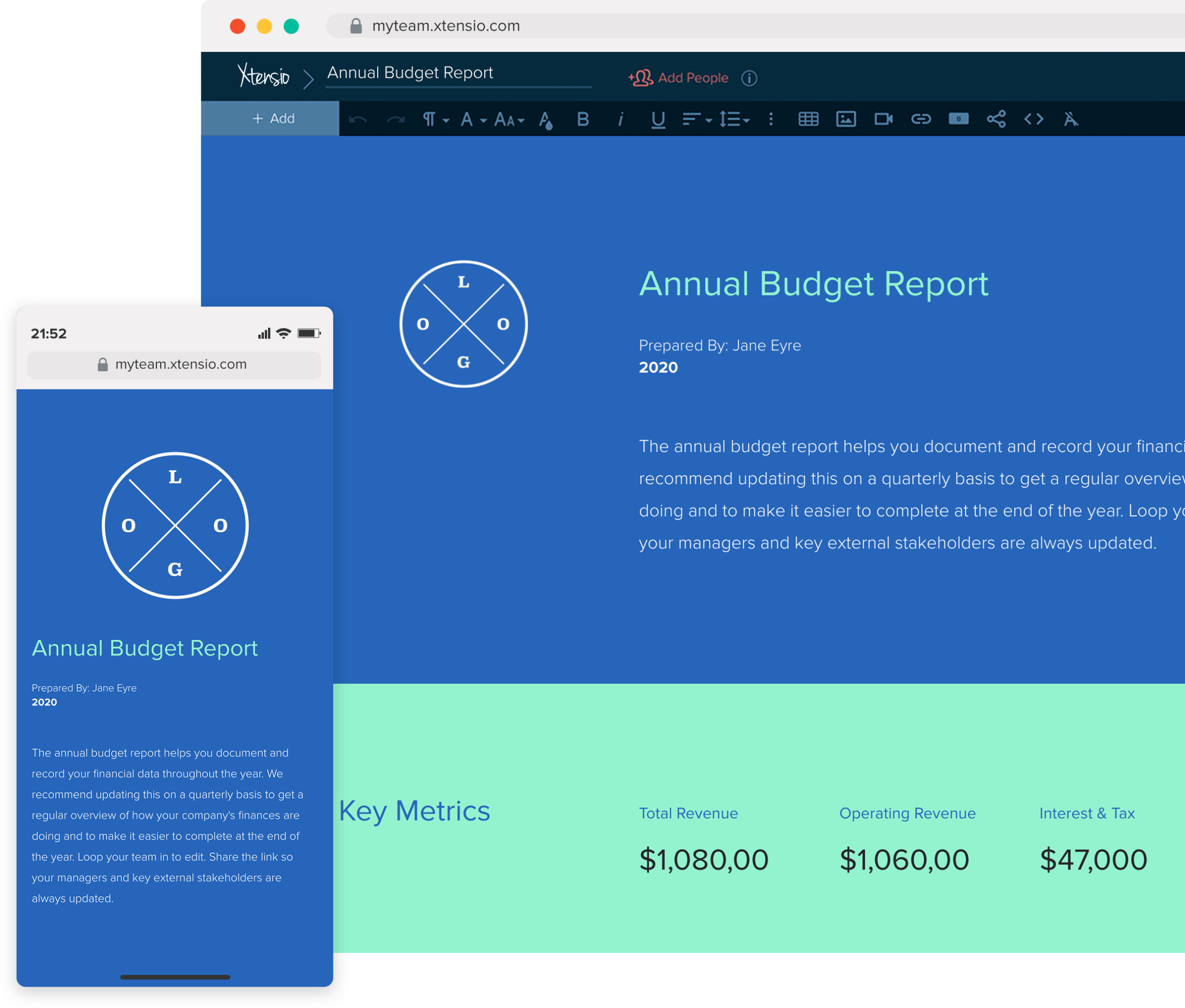 How To Create An Annual Budget Report (With Template And Examples)