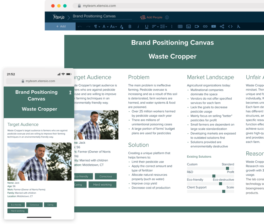 Brand Positioning Canvas Example