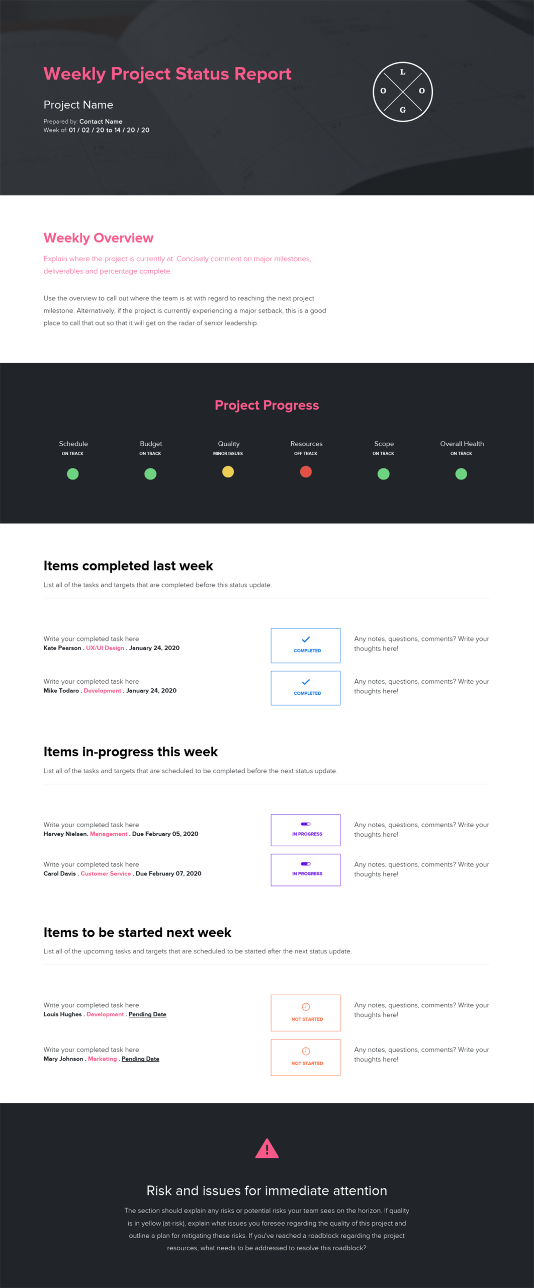 Weekly Project Status Template
