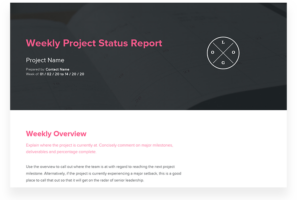 Weekly Project Status Report Template